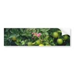 Red Orange tree and flower blossom flowers bumper stickers