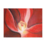 Red Orchid Post Card