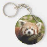 red-panda-005 key chain