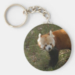 red-panda-015 keychain