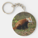 red-panda-019 key chains