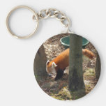 red-panda-020 key chains