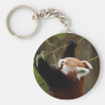 red-panda-021 keychains