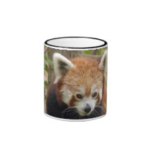 red-panda-023 coffee mugs