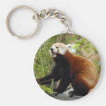 red-panda-034 key chain