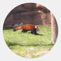 red-panda-044 round sticker