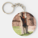 red-panda-047 key chains