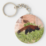 red-panda-048 keychains