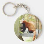 red-panda-051 key chain