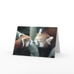 Red Panda #2-Greeting card