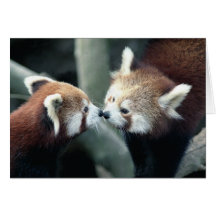 Red Panda #2-Greeting card