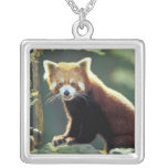 Red Panda Ailurus fulgens) Pendants