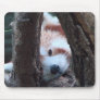 Red Panda Baby Mousepad