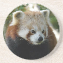 red panda drink coaster