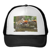 red panda hats