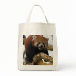 RED PANDA IN TREE bags