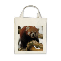 RED PANDA IN TREE CANVAS BAGS