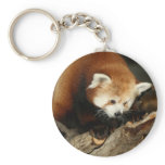 Red Panda Keychain