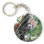 Red Panda keychains