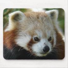 Red Panda Mouse Pads
