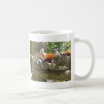 red panda mug