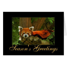 Red Panda Nature Seasons Greetings Holiday Card