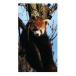 RED PANDA PERCH business cards