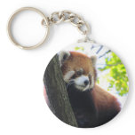Red Panda Portrait keychains