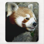red panda smile mousepads