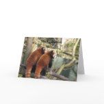 Red Panda Valentine Card