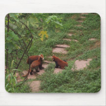 Red Pandas in Chengdu, China Mousepad