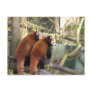 Red Pandas Postcard