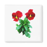 Red Pansy Duo magnets