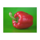 red paprika postcards