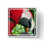 Red Parrot Square Pin
