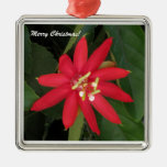 Red Passion Flower Christmas Tree Ornaments