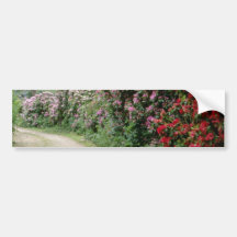 Red Path Of Rhododendron flowers Bumper Sticker