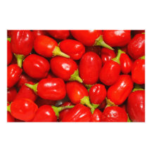 Red Peppers Photo