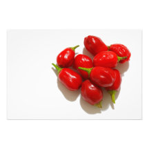 Red Peppers Photograph