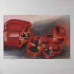 Red Peppers posters