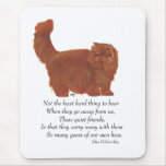 Red Persian Cat Rainbow Bridge Mousepads