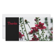Red Photo Greeting Card