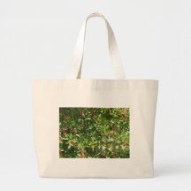 Red Pie Cherries Bag