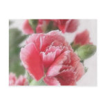 Red-Pink Carnations 1 Painterly postcards