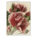 Red-Pink Carnations 1 Rustic Card