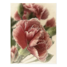 Red-Pink Carnations 1 Rustic Postcard