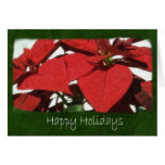 Red Poinsettias 2 - Happy Holidays Card