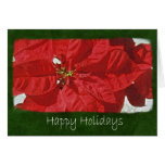 Red Poinsettias 3 - Happy Holidays Greeting Cards