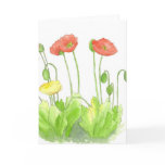 Red Poppies Blank Note Card