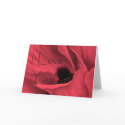 Red Poppies Flower Art Painting - ... - Customised cards